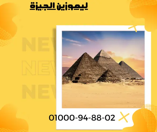 ليموزين الجيزة