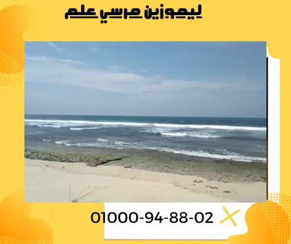 ليموزين مرسي علم