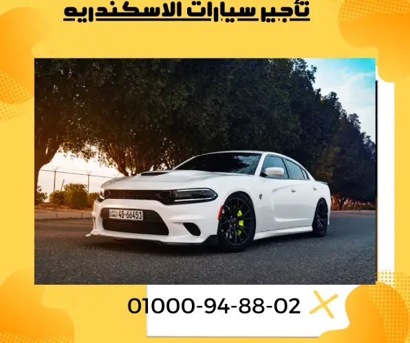 تأجير سيارات الاسكندريه
